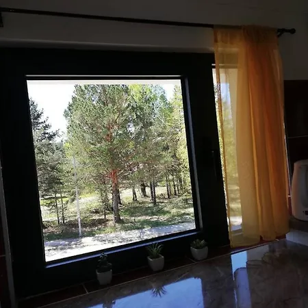 Apartament Smiley 1 *