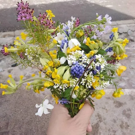 Apartament Smiley 1 *