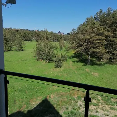 Apartament Smiley 1 *